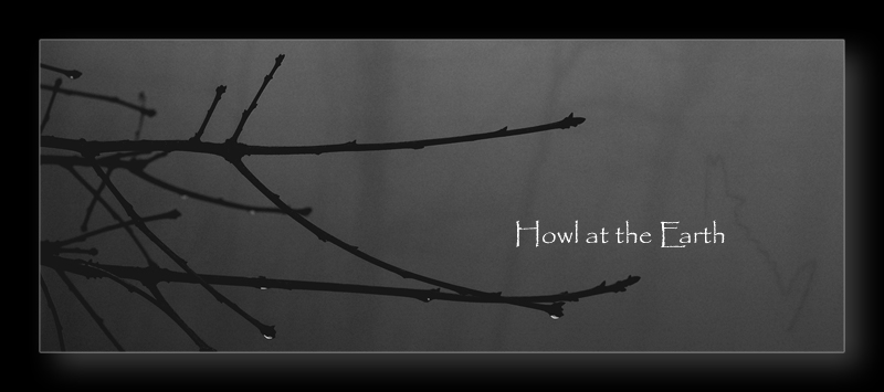 Howl at the Earth Photography and Designs