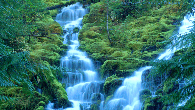 Proxy Falls - Willammette National Forest, Oregon 2004  